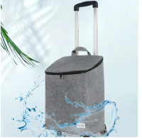 ХТ-2 GREY Тележка хозяйственная с телескопической ручкой цвет серый. Два колеса.